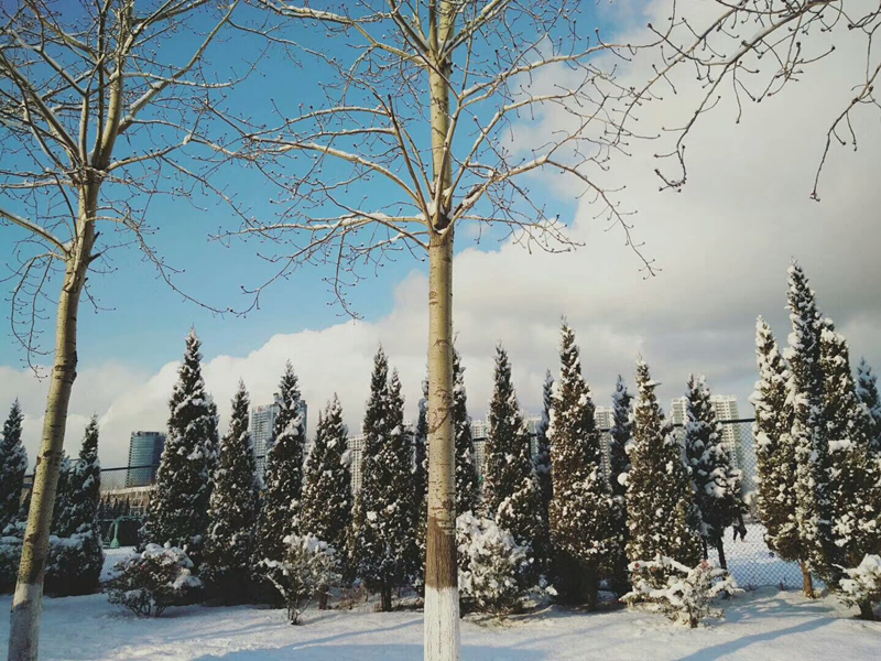 雪景 (6).jpg 雪景 (6).jpg